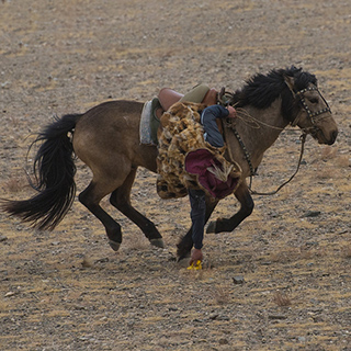 Ulgii - Golden Eagle Festival - Tenge Ily